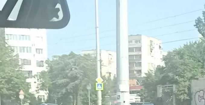 Дядо продава чубрица в жегата, за да си купи хляб СНИМКА